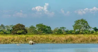 Clouds Caves Rhinos Tour - Kaziranga Shillong Cherrapunji Package